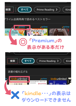 Amazonリーディング説明 (3)