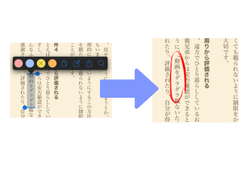 Amazonリーディング line引き (2)